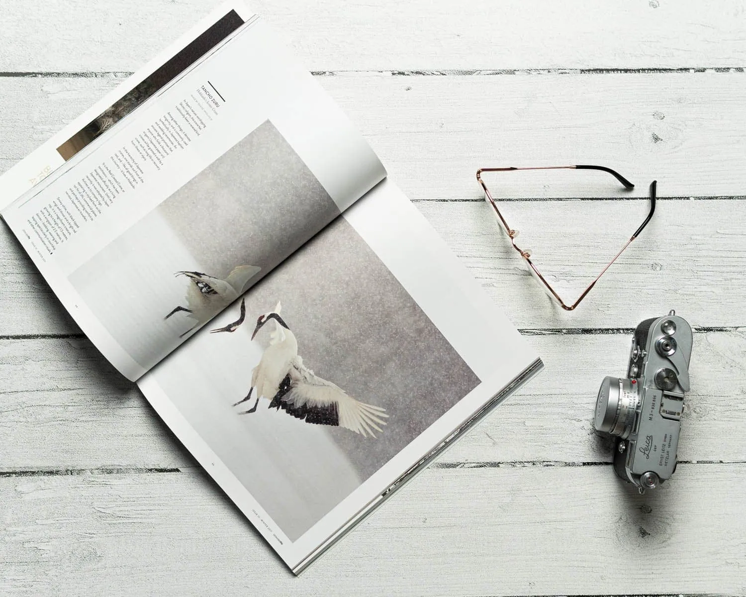 Flat Lay Instagram Backdrop - 'Palm Beach' White Wash Wooden (56cm x 87cm)