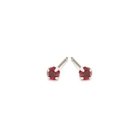 January Birthstone Stainless Steel Stud Earrings
